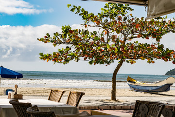 scenic view of sea beach cafe in Florianopolis, Santa Catarina, Brazil