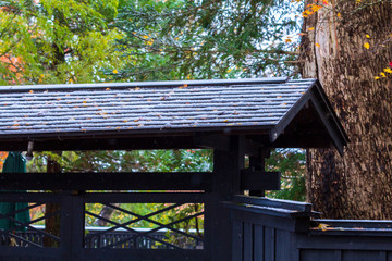 Naklejka premium 紅葉と雪 秋田県仙北市角館 武家屋敷