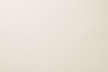 質感のある白い壁 Wall Mural Wallpaper Murals Wallsheaven Hanahal