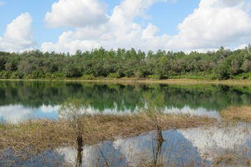 Beautiful view on marshes and forests of North Florida nature