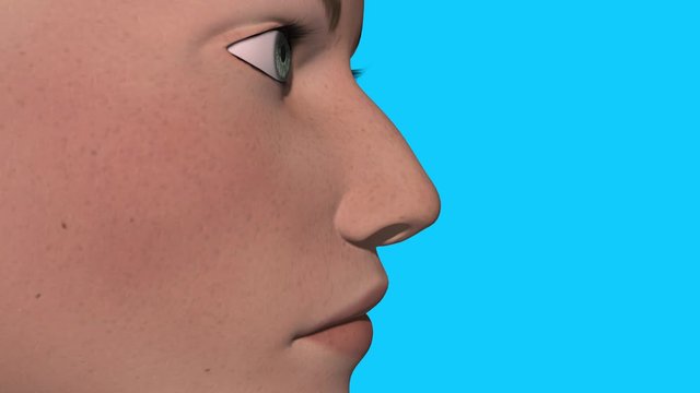 Rhinoplasty Plastic Surgery Nose job . Big crooked nose transforms , morphing smaller and straight . 3d animation