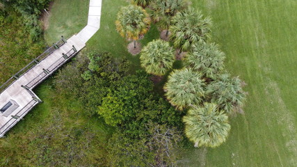 a drone shot looking down on a dock starting a swamp, and some trees.