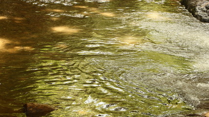 water in the river