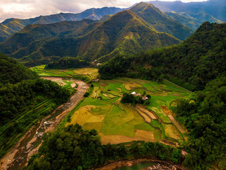 Rice Fields with mountain hills in Ifugao Cordillera Banaue Mountain Province Philippines