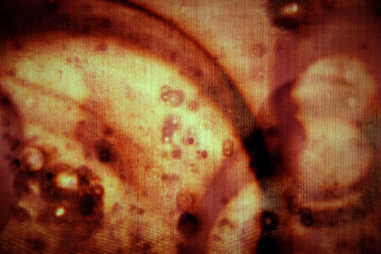 dirty red blood background grunge stain art texture