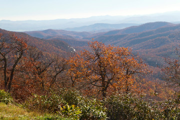 Scenic Appalachian Mountains On Fire With Fall Color