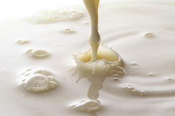 Fototapeta na wymiar Milk splash