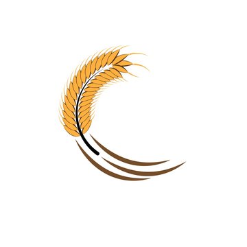 Agriculture wheat Logo Template