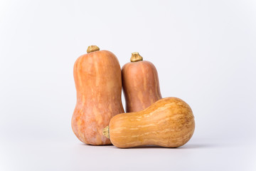 Fresh butternut squash on white background