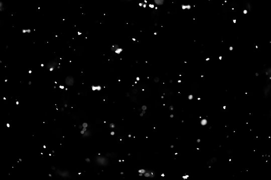 Christmas background, white snow on black background for edit photo.