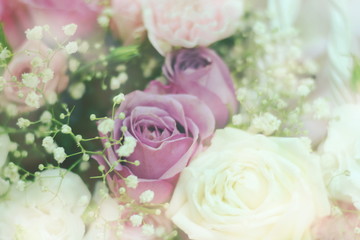 Close up beautiful Pink  rose flower bouquet