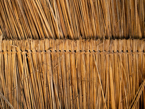 The roof of the house is made of bamboo and grass.