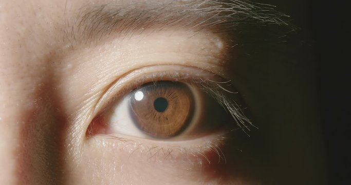 Macro shot of brown eye