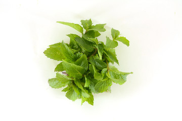bunch of parsley isolated on white background