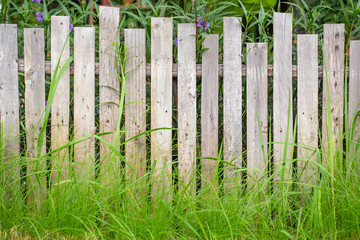 wood fence texture pattern background with green grass.