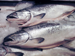 salmon trout on ice at market