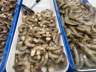 fresh seafood in the market