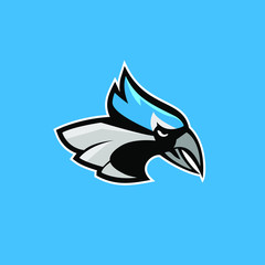 blue jay bird color head mascot logo icon designs vector illustration