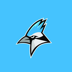 blue jay bird color head mascot logo icon designs vector illustration