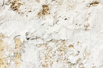 Shell limestone with chalky plaster texture