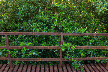 View of hand railings and bridge in a park, Chennai, India with vegetation in background