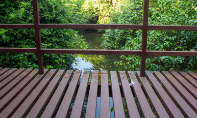 View of hand railings of a bridge over a swamp in Chennai, India with vegetation in background