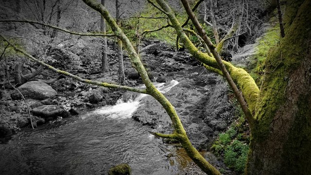 Gentle stream