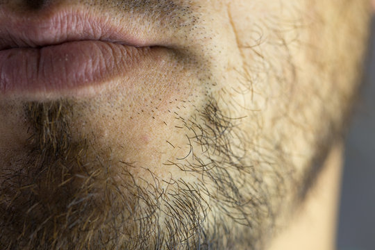 Bearded young man, stubble near. Unshaven more than a week. Hair on the face of a man, a short beard.