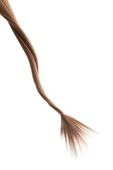 Brown twisted hair on white background, isolated. Looks like animal tail