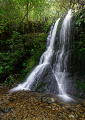 Fototapeta na wymiar Elvy Stream Waterfall, New Zealand.