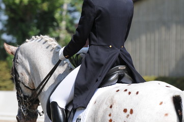 Dressurreiten
