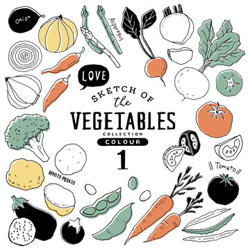 1 146 151 件の最適な 野菜のイラスト 画像 ストック写真 ベクター Adobe Stock 1 146 151 件の最適な 野菜のイラスト 画像 ストック写真 ベクター Adobe Stock
