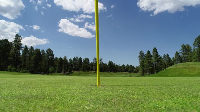 golf ball in the hole