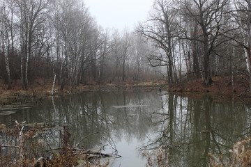 morning on the lake