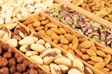 Heap of nuts