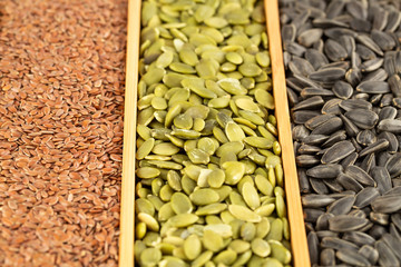 Various kind of seeds