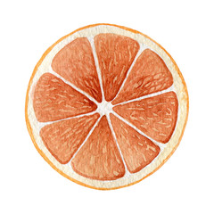 Hand drawn dried slice of orange isolated on a white background. Sweet dry citrus. Watercolor illustration of christmas decor