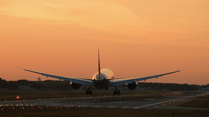 Fototapeta na wymiar Rear view of widebody twin engine airplane landing in the early morning. Picturesque sunset at the background,