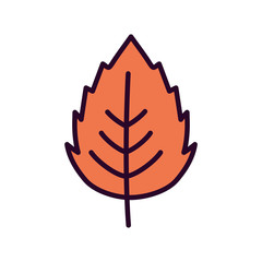 autumnal leaf foliage nature icon