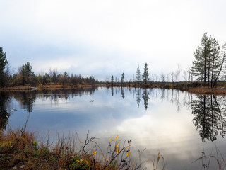 The lake and the beautiful pine forest