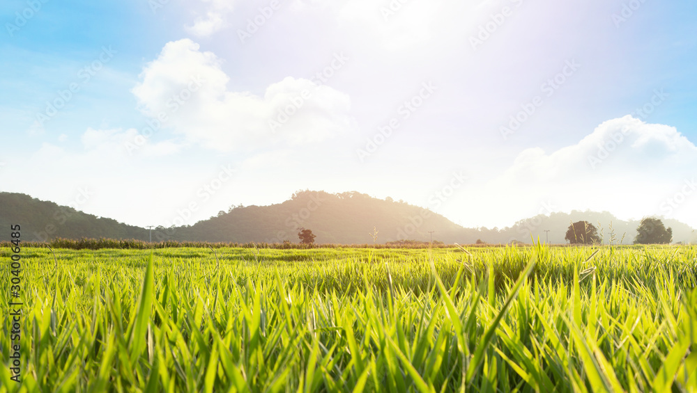 Wall mural meadow with bright blue sky and mountain horizon