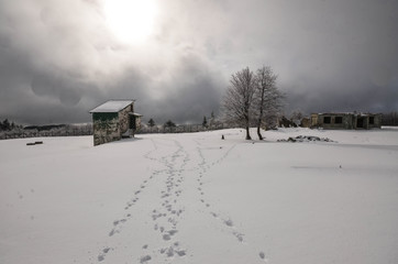 Abruzzo National Reserve first snow near the Christmas holiday