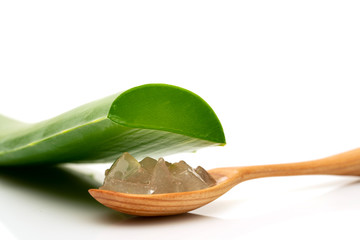 Aloe vera plant and aloe gel on wooden spoon, isolated on white background, closeup.