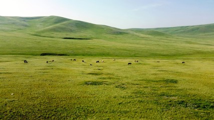 Green field with sky view