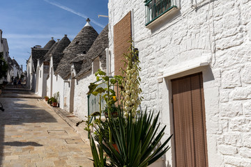 Trulli village in Alberobello, Italy. The style of construction is specific to the Murge area of...