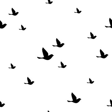 Seamless abstract pattern with black flying birds on white background.