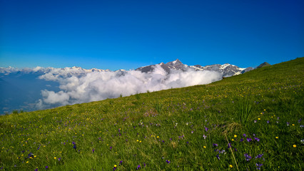 Springtime in the alps