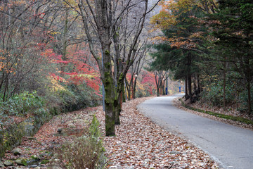 Tapsa Buddhist Temple of South Korea