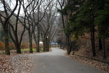 Fototapeta premium Tapsa Buddhist Temple of South Korea