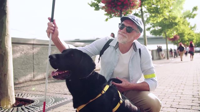 Senior blind man with guide dog outdoors in city, resting. Slow motion.